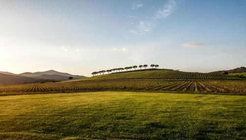 REFUGIUM CountryHouse - Foto 3