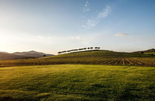 REFUGIUM CountryHouse - Foto 3