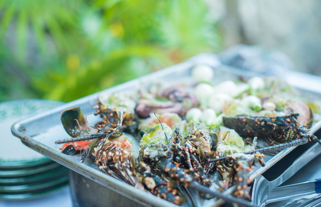 Villa El Ensueño by La Casa Que Canta - Foto 43