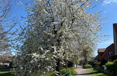 Gästehaus Gerschler - Foto 22