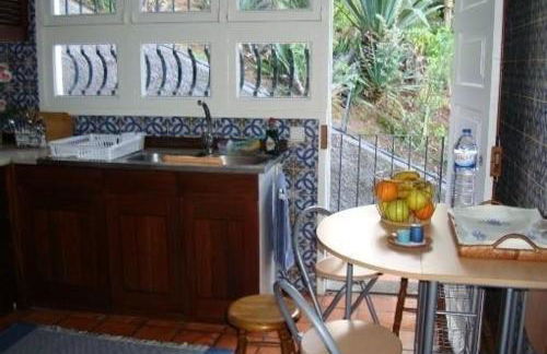 Apartamento Charmoso no Funchal, com grande Jardim e Vista Esplêndida - Foto 14