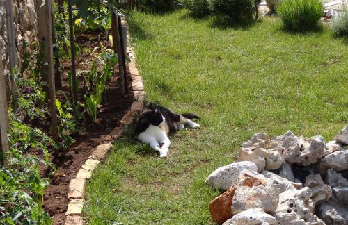 Villa Marlin - Foto 52