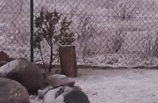 Zacisze pod brzozami - Foto 50