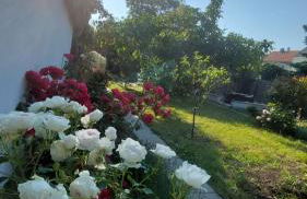 CT Apartment Wurzen - Foto 39