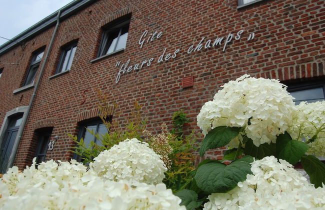 Appartement Fleurs des champs – Esc’Appart - Foto 34