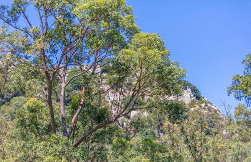 Casa Pájaro del Músico, Bolonia - Foto 50