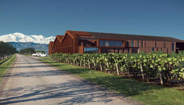 Viñedos de la bodega Achaval Ferrer