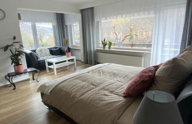 Pension mit Moselblick - Foto 55