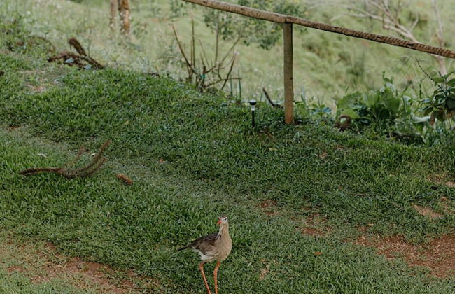 Refugio Marincek - Gonçalves - MG - Foto 25