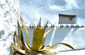 Babatseratsi skyrian studio 2 - Photo 75