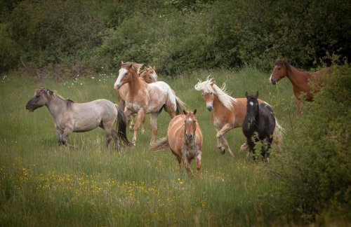 Landhaus Isolde - Photo 10