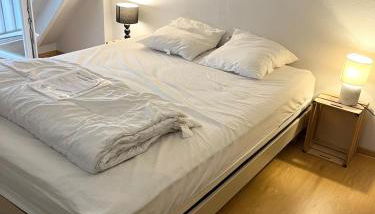 Jolie maisonnette proche côte sauvage et plages Parc d'Armor 2 - Foto 5