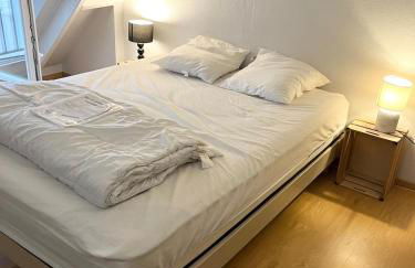 Jolie maisonnette proche côte sauvage et plages Parc d'Armor 2 - Foto 5