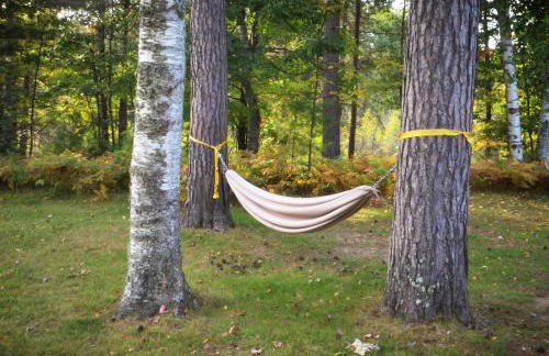 Cedaroma private Home in Resort to relax in the northwoods - Photo 11