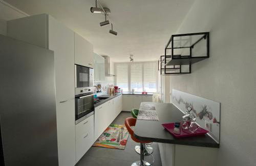 Le Mun,3 étoiles-T2-60m2-balcon-parking-wifi-linge-produits-face à la gerdarmerie-vue cathedrale - Foto 12