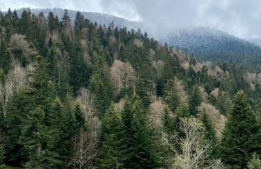 Appartement Chalet à 1400m - Station du Mourtis - Foto 33