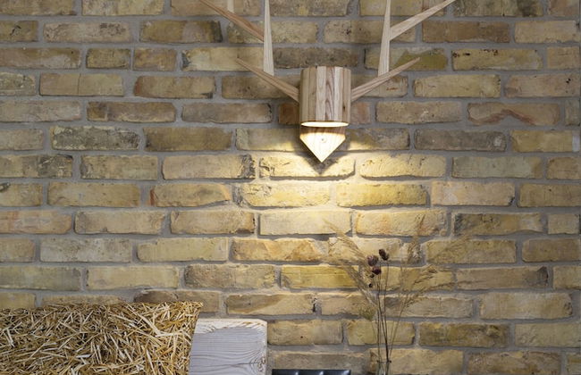 Green Deer Premium - Foto 39