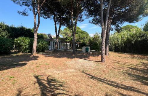 Appartamenti Sterlizia 2 - Foto 30