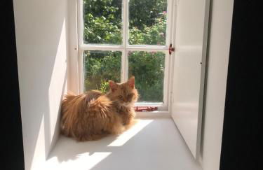 Gorgeous boutique off-grid cottage near Peebles - Foto 22