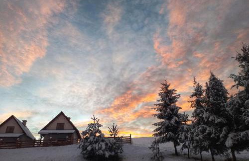 Bieszczadzki Bohater Domki 533-502-137 - Photo 70