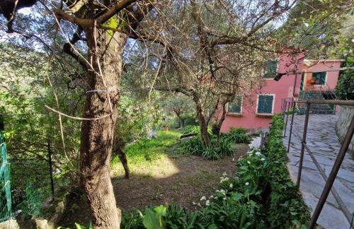 Un Giardino Su Camogli by Holiday World - Foto 38