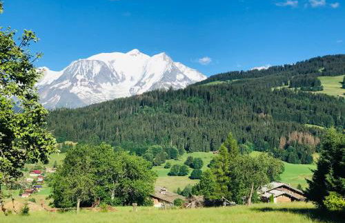 Charmant Mazot Le 1881 4 pers - Foto 10