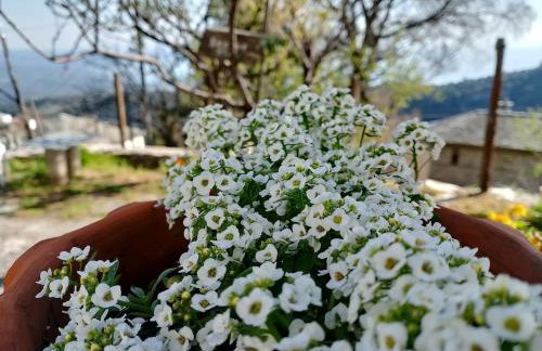 Stonehouse - The Secret Place - Foto 39