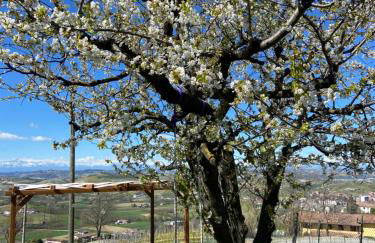 Villa il Gelso - Foto 14