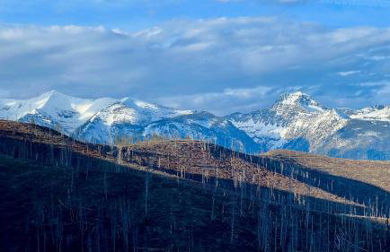 Jocko River Retreat - A Nature Lovers Dream - Foto 39
