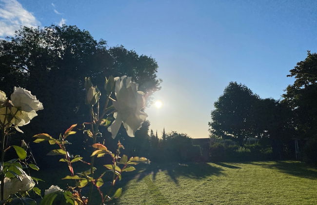 Mansion Annexe - Private 5 Acres-stunning Grounds - Photo 7