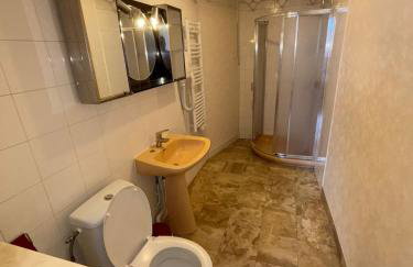 Manoir du Moulin - Foto 61