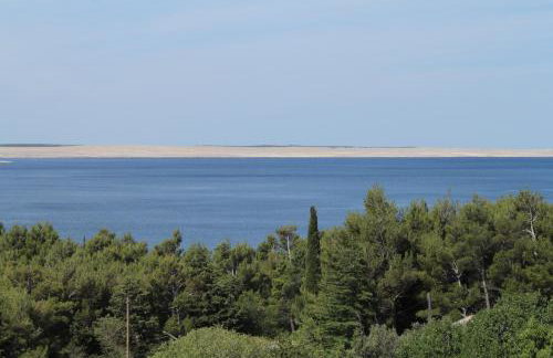 Apartments with a parking space Kozjaca, Paklenica - 6565 - Photo 35