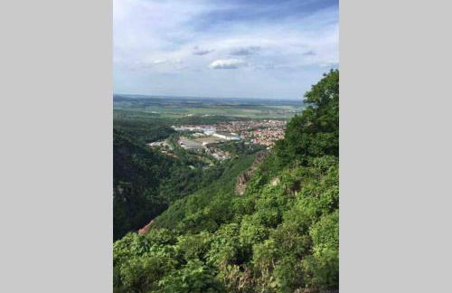Ferienhaus Ackerbürgerhof in der Welterbestadt Quedlinburg - Foto 17