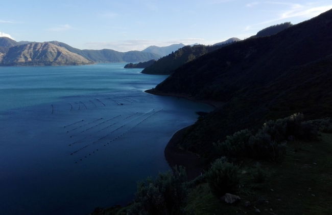 The Lodge At Te Rawa - Boat Access Only - Foto 44