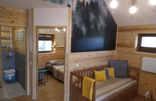 Domki przy jeziorze z prywatną plażą w Borach Tucholskich Pensjonat Alicja wczasy z dziećmi nowe luksusowe domki na skraju jeziora i lasu - Foto 32