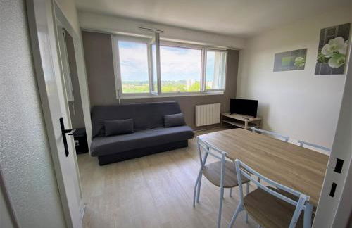 Appartement double à Limoges - Foto 7
