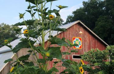 Historic Converted Barn Loft at Sobremesa Farm - Foto 15