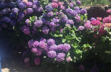 Casa Camino Real - Foto 23