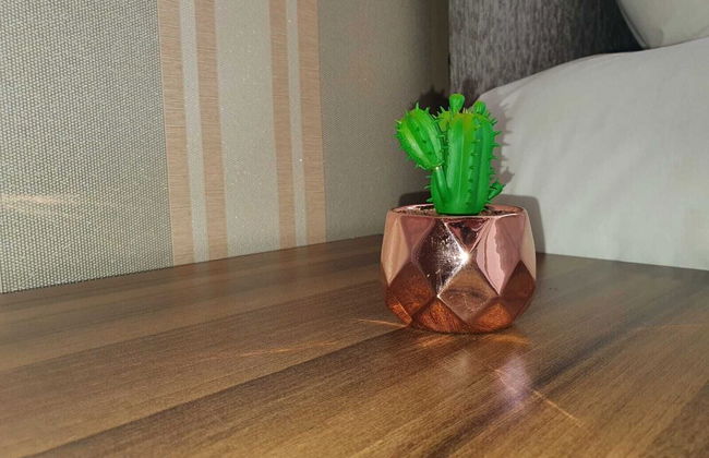 Comfortable Homestay in Stoke - Photo 23