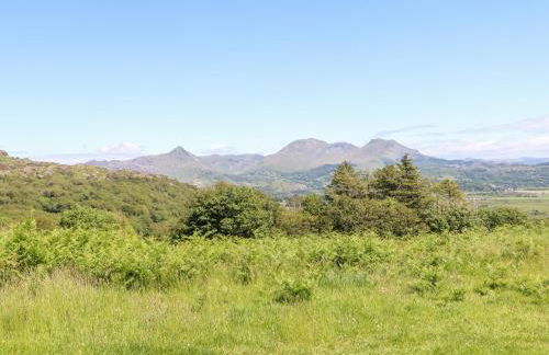 Yr Hen Ysgol, The Old School - Foto 42