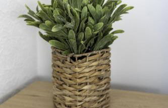 Dunbank Apartment - Photo 27