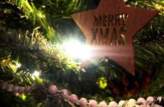 Forrest Guesthouse - Foto 63