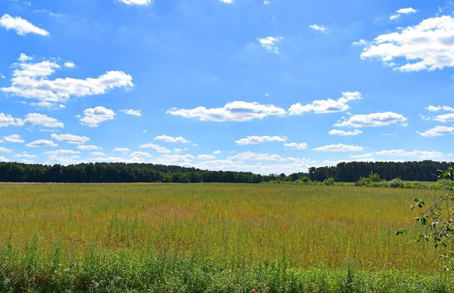 Apartment in Mirow by Lake Vilzsee - Photo 42