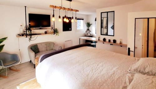 Studio Cosy Atypique - Toulouse - Photo 1