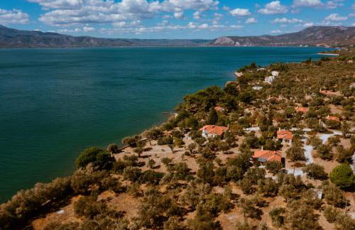 Traditional Architecture Seafront Stone House in 25000sqm Olive Grove - C - Photo 18