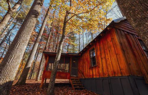 Multiple cabins at Cabin Fever - Foto 23