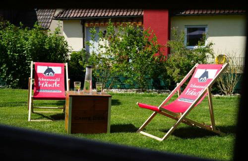 Gartenblick im Schwarzwaldhäusle - Foto 7