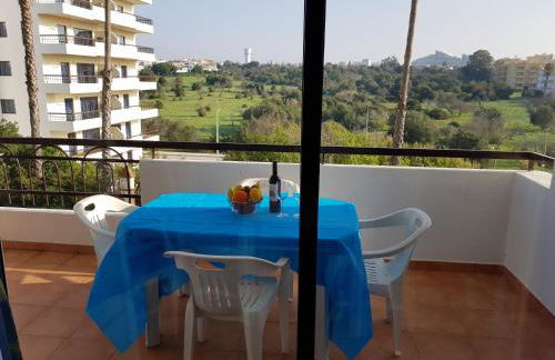 Vista Verde - Foto 23