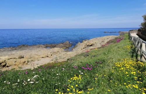 Casa Platja d'en Robert - Foto 18