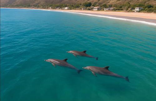 Malibu Beachfront Home with Rock Spa Ocean Views & Huge Deck - Foto 31